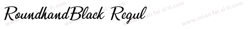 RoundhandBlack Regul字体转换